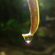 Image for article titled Refraction Shooting Challenge Gallery 1